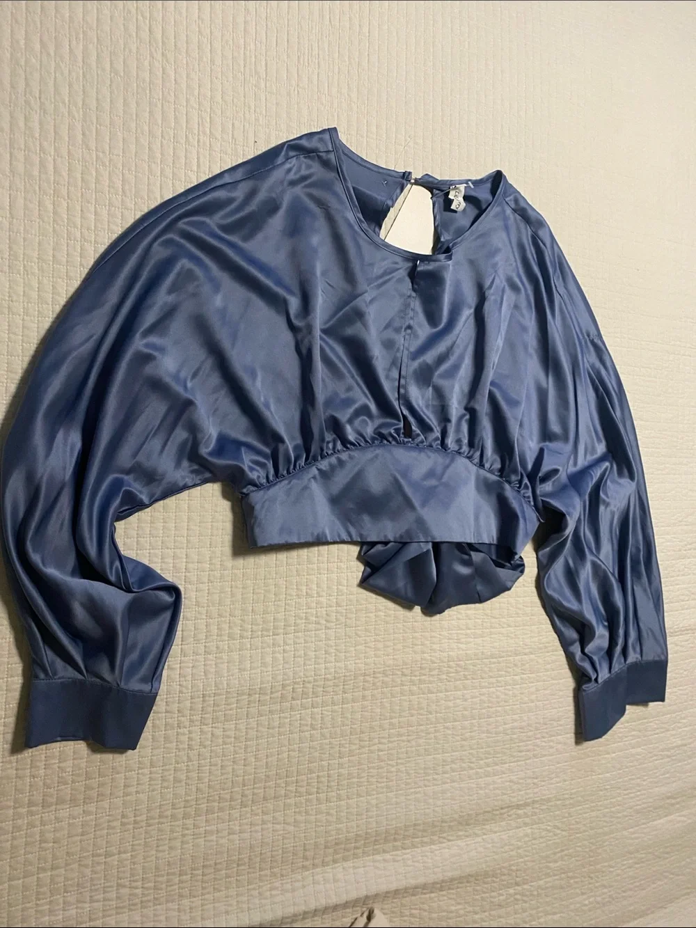 LiLicherry Satin Balloon Sleeve Crop Top - Blue